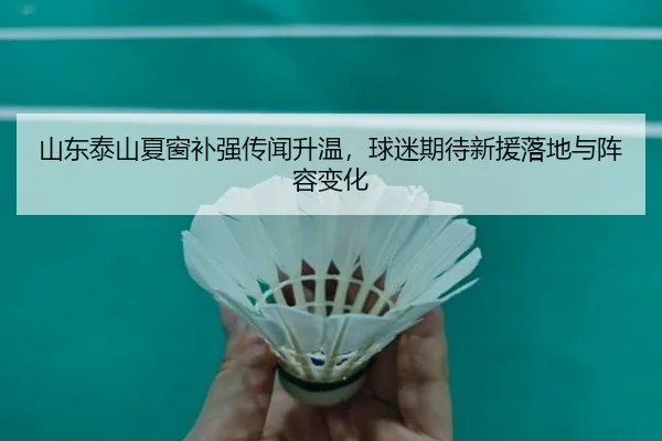 山东泰山夏窗补强传闻升温，球迷期待新援落地与阵容变化 - youbotiyu